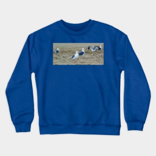 Seagulls in the sand Crewneck Sweatshirt